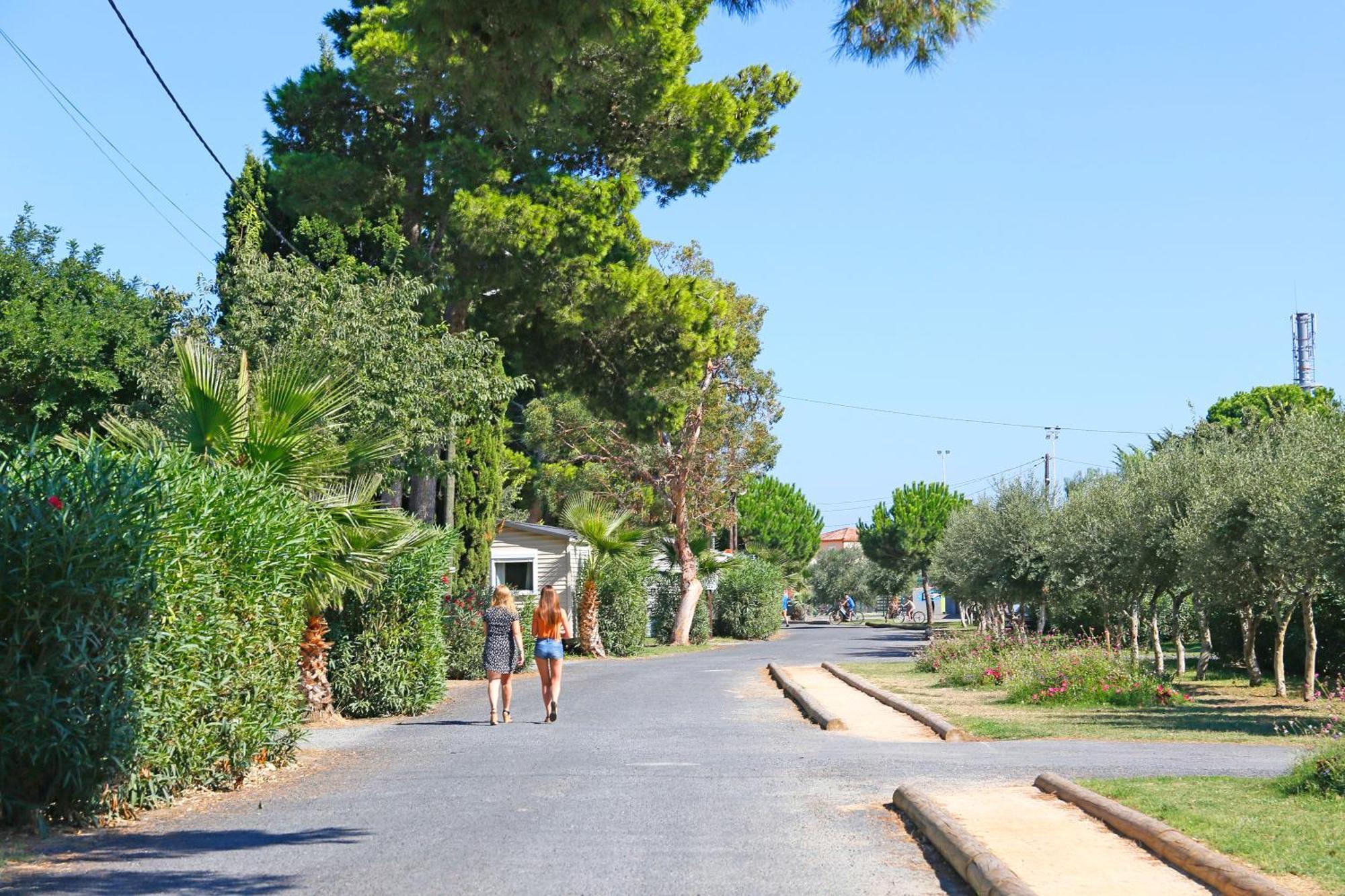 Camping Saint-Cyprien Hotel Eksteriør billede